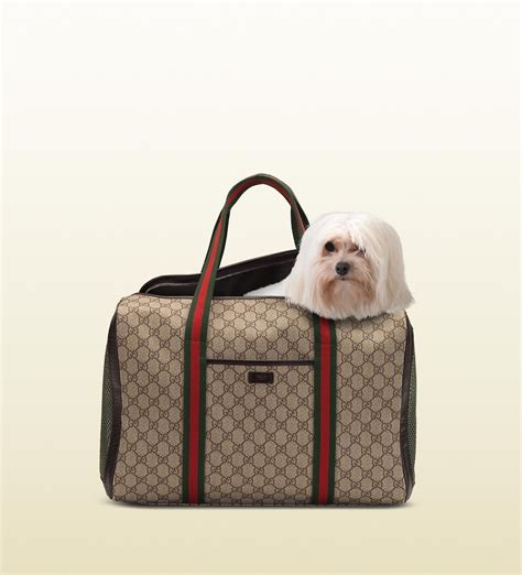 gucci pug handbag|Designer Dog Carrier .